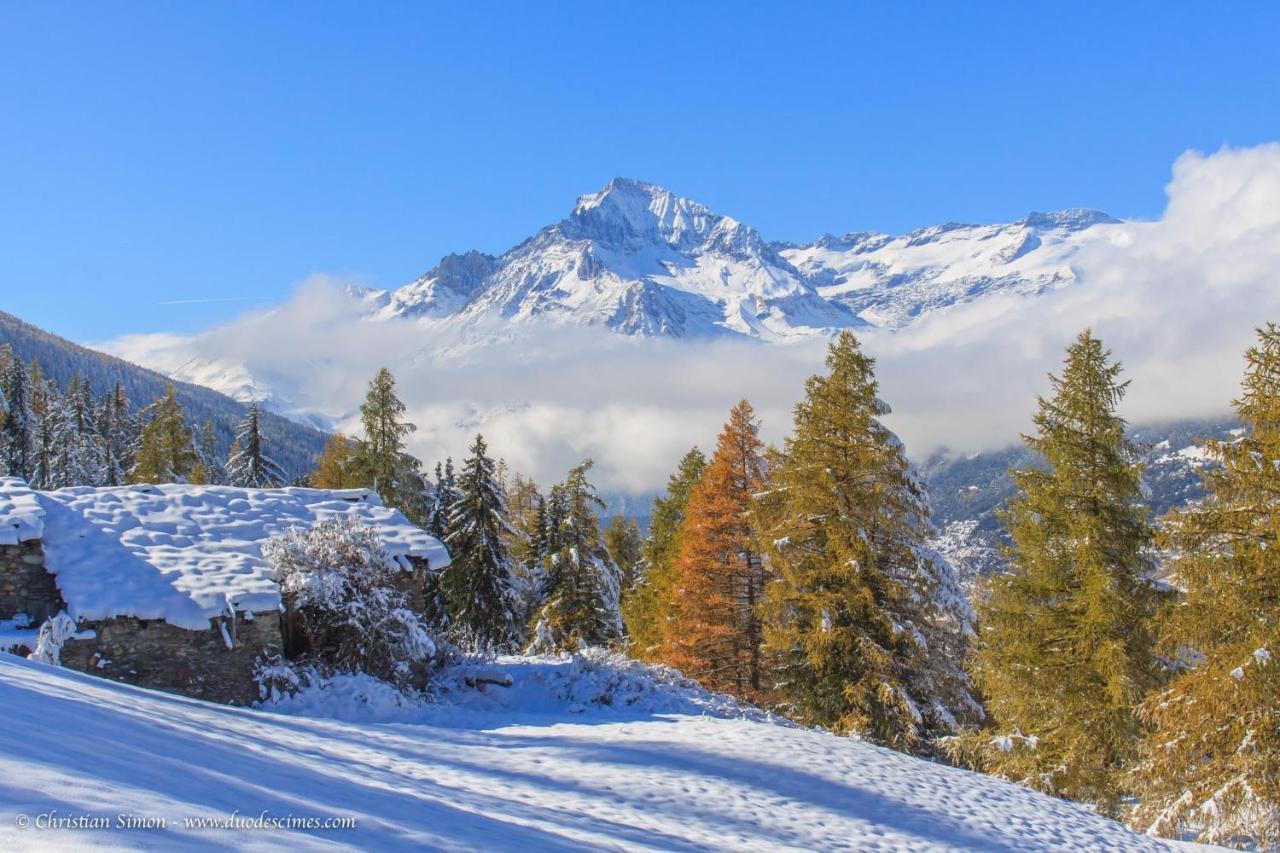 Les Balcons Proche Parc National Vanoise Appartements 2 Pieces 6 Pers Montagne Superieur แตร์มิญอง ภายนอก รูปภาพ